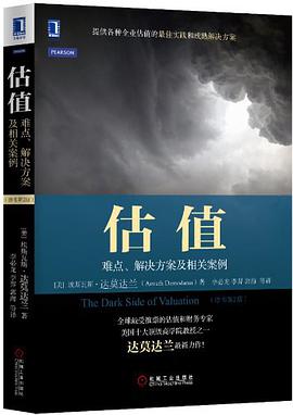 估值：难点、解决方案及相关案例（原书第2版）