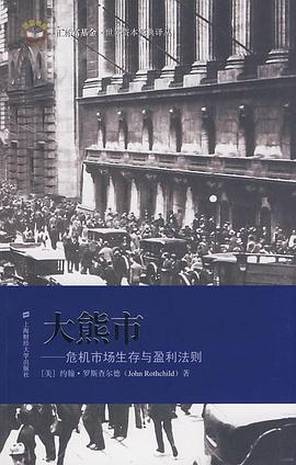 大熊市：危机市场生存与盈利法则