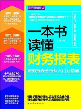 一本书读懂财务报表 : 财务报表分析从入门到精通